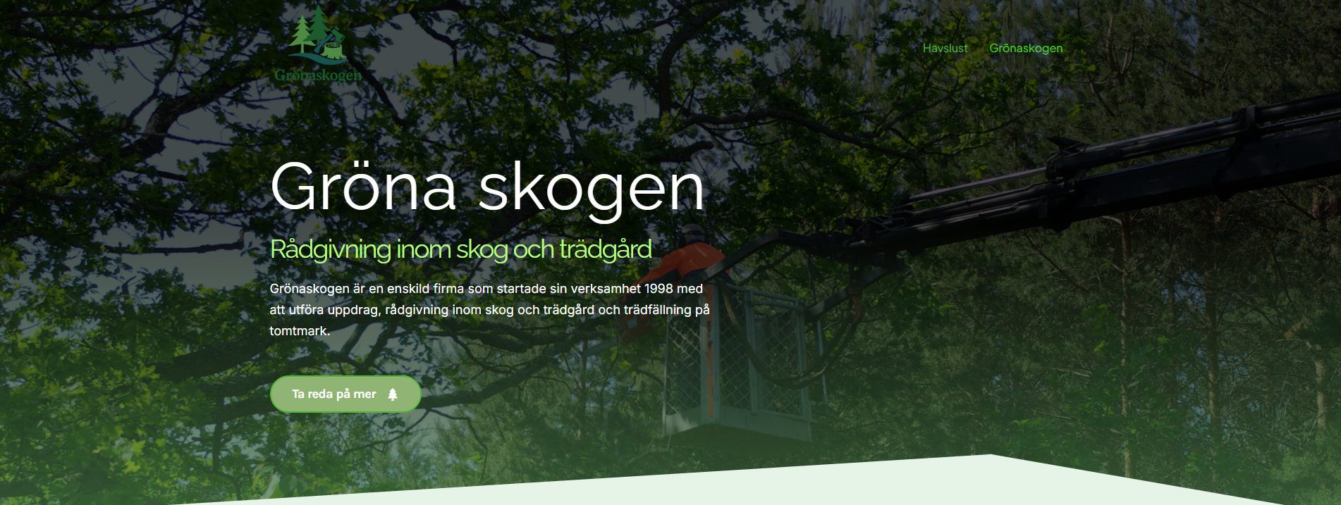 Hemsida skapad för Gröna Skogen – webbdemo av LJO Media